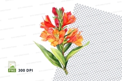 Bright alstroemeria flowers clipart png Product Image 1