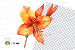 Vibrant orange lily clipart png Product Image 1