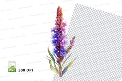 Vibrant wildflower clipart png Product Image 1