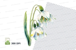 Snowdrop flowers clipart png Product Image 1