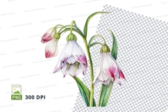 Delicate white flowers with pink accents Product Image 1