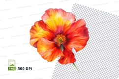 Vibrant poppy flower clipart png Product Image 1