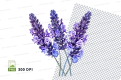 Purple lavender flowers clipart png Product Image 1