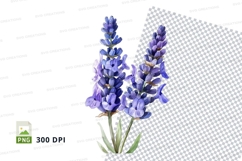 Lavender flowers clipart png Product Image 1