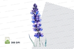 Bluebell flower clipart png Product Image 1