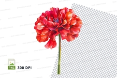 Vibrant red tulip clipart png Product Image 1
