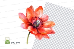 Vibrant red flower clipart png Product Image 1