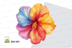 Colorful hibiscus flowers clipart png Product Image 1