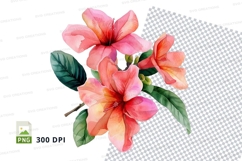 Beautiful hibiscus flowers clipart png Product Image 1