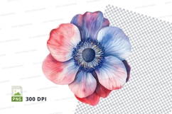 Colorful anemone flower clipart png Product Image 1