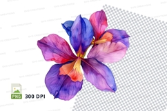 Vibrant iris flower clipart png Product Image 1