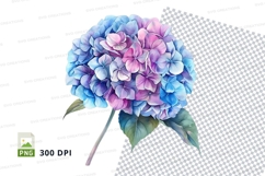 Beautiful hydrangea flower clipart png Product Image 1