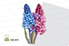 Beautiful hyacinth flowers clipart png Product Image 1