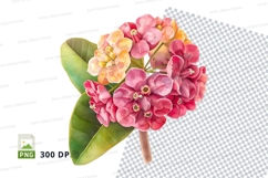 Vibrant bouquet of flowers clipart png Product Image 1