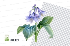 Bluebell flowers with green leaves clipart png Product Image 1