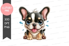 Playful french bulldog puppy Product Image 1