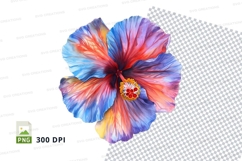 Colorful hibiscus flower clipart png Product Image 1