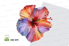 Rainbow hibiscus flower clipart png Product Image 1