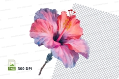 Vibrant hibiscus flower clipart png Product Image 1