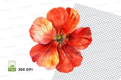Vibrant red flower clipart png Product Image 1