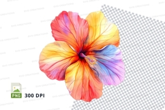 Colorful hibiscus flower clipart png Product Image 1