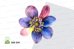 Colorful flower clipart png Product Image 1