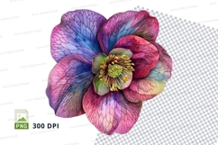Vibrant flower clipart png Product Image 1