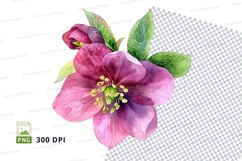 Pink flower with green leaves clipart png Product Image 1