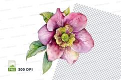 Pink hellebore flower clipart png Product Image 1