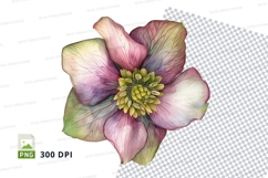 Delicate pastel flower clipart png Product Image 1