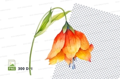 Vibrant orange flower clipart png Product Image 1