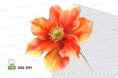 Vibrant orange flower clipart png Product Image 1