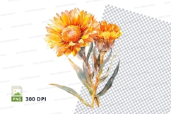 Vibrant orange flowers clipart png Product Image 1