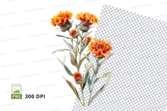 Vibrant orange flowers clipart png Product Image 1