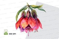 Vibrant fuchsia flowers clipart png Product Image 1