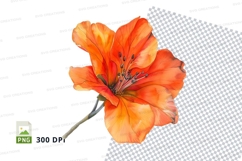 Vibrant orange flower clipart png Product Image 1