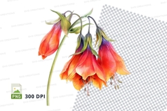 Vibrant orange and red flowers clipart png Product Image 1