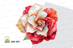 Vibrant red and white flower clipart png Product Image 1