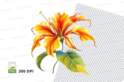 Vibrant orange flower clipart png Product Image 1