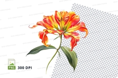 Vibrant orange flower clipart png Product Image 1
