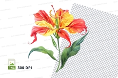 Vibrant lily flower clipart png Product Image 1