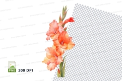 Vibrant gladiolus flowers Product Image 1