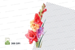 Vibrant gladiolus flowers Product Image 1
