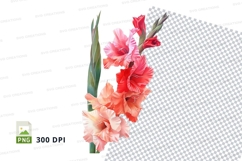 Vibrant gladiolus flowers clipart png Product Image 1