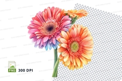 Colorful gerbera daisies clipart png Product Image 1