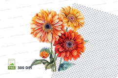 Vibrant gerbera daisies clipart png Product Image 1
