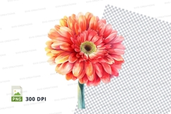 Vibrant gerbera daisy clipart png Product Image 1