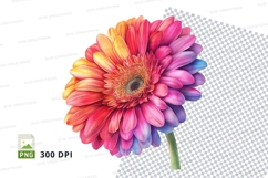 Colorful gerbera daisy clipart png Product Image 1