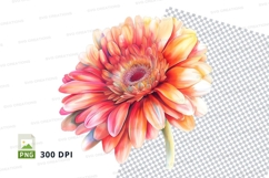 Vibrant gerbera daisy clipart png Product Image 1