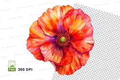 Vibrant poppy flower clipart png Product Image 1